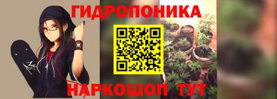 наркотики Камышлов