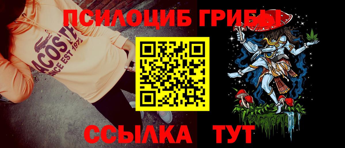 Галлюциногенные грибы Psilocybe Приморско-Ахтарск