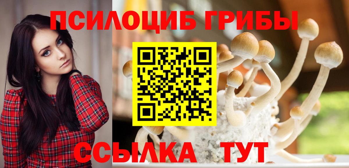 Приморско-Ахтарск  Галлюциногенные грибы мицелий  Вход с VPN 